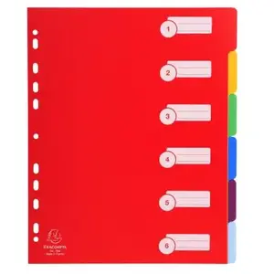Exacompta 25x Tabbladen in stevige Ondoorzichtige PP - 6 tabs - A4 maxi - Geassorteerd - 4806E pas cher