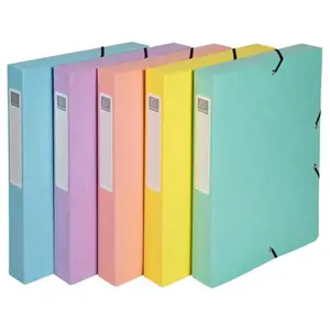 Exacompta - Réf. 88460E - 1 Protège-documents Aquarel - 40 pochettes cristal lisse - 80 vues - pour A4 - dim 24 x 32 cm - couverture en polypro semi-rigide - 5 couleurs pastels aléatoires pas cher