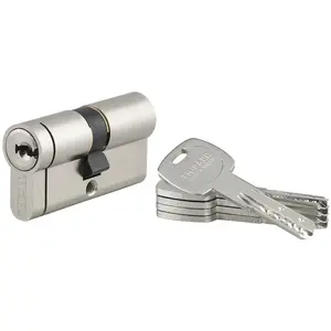 THIRARD Cylindre de serrure double entrée Transit 2, 30x30mm, nickel, anti-arrachement, anti-perçage, anti-crochetage, 5 clés pas cher