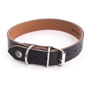 Collier Pour Chien Martin Sellier Allure 47 Cm Mixte Noir pas cher
