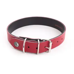 Collier Pour Chien Martin Sellier Allure 40 Cm Mixte Rouge