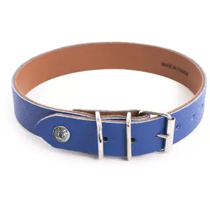Collier Pour Chien Martin Sellier Allure 35 Cm Mixte Bleu