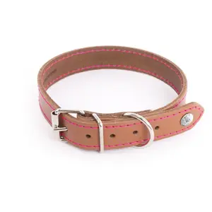 Martin Sellier Collier Pour Chien Martin Sellier Flash 40 Cm Mixte Marron