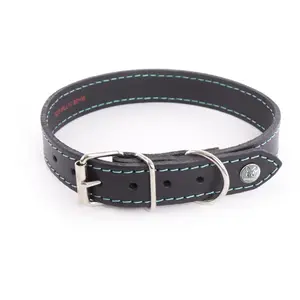 Collier Pour Chien Martin Sellier Flash 40 Cm Mixte Noir