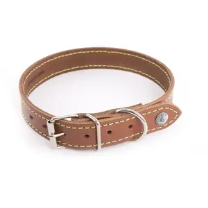 Collier Pour Chien Martin Sellier Flash 75 Cm Mixte Marron