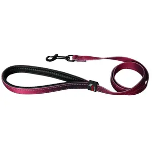 Laisse Pour Chien Reflex Bordeaux Longueur 100cm pas cher