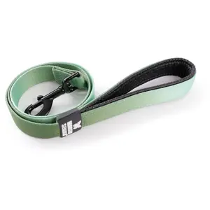 Martin Sellier Laisse Pour Chien Nylon Martin Sellier M 20/100 Cm Mixte Vert