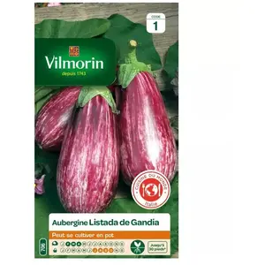 VILMORIN Sachet graines Aubergine Listada de Gandia pas cher