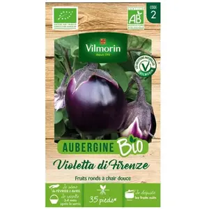 Aubergine violette de Florence bio Vilmorin