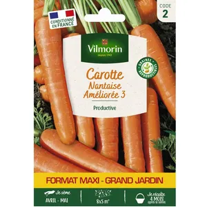 VILMORIN Carotte Nantaise Améliorée 3 - GM pas cher