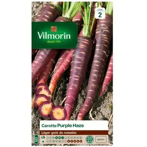 VILMORIN Sachet graines Carotte Violette Purple Haze- pas cher