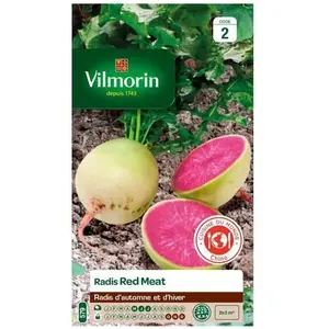 VILMORIN Sachet graines Radis Red Meat