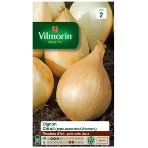 VILMORIN Sachet graines Oignon Cénol ( type jaune des Cévennes )