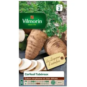 Vilmorin Cerfeuil Tubereux pas cher