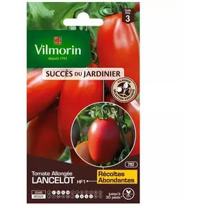 VILMORIN Tomate Lancelot HF1 Sachet de graines - Obtention Vilmorin