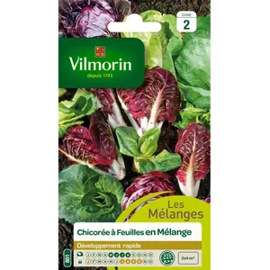 VILMORIN Chicorée à larges feuilles en mélange pas cher