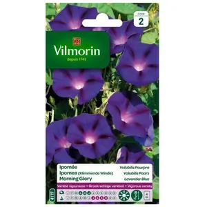 VILMORIN Ipomée pourpre pas cher