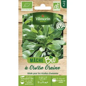 Vilmorin Mache Grosse Graine bio pas cher