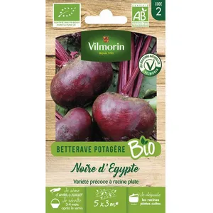 Betterave noire d Egypte bio Vilmorin pas cher