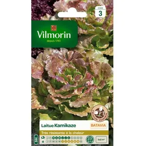 VILMORIN Sachet graines de Laitue Batavia KAMIKAZE Feuilles rouges