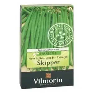 VILMORIN Haricot nain sans fil SKIPPER +20% gratuit