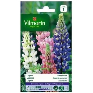 VILMORIN Lupin annuel en melange
