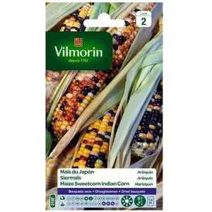 VILMORIN Maïs du Japon Arlequin pas cher