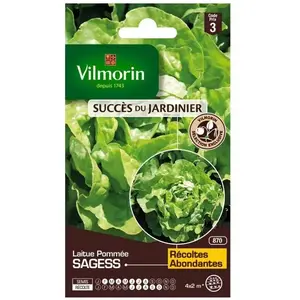 VILMORIN Sachet graines de Laitue Pommée SAGESS