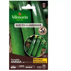 Courgette Anissa HF1 obt Vilmorin - Graine - Légumes - Soleil - 0,6 - Potager et verger pas cher