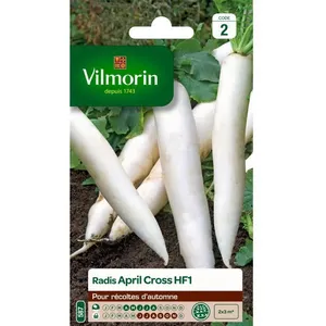 VILMORIN Radis Japonais April Cross pas cher