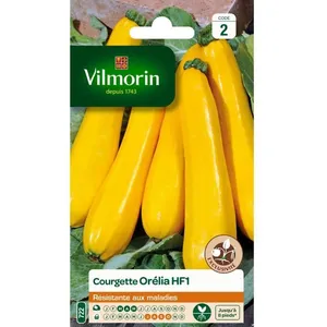 VILMORIN Courgette Orelia HF1 peau jaune pas cher