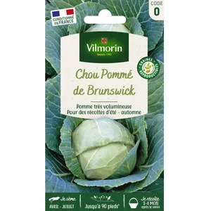VILMORIN Chou cabus de Brunswick pas cher