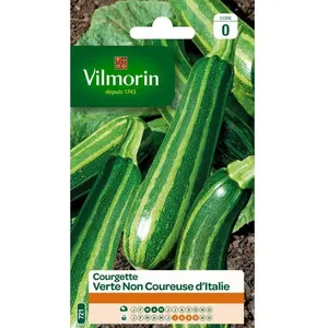 VILMORIN Courgette non coureuse d’Italie