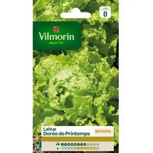 VILMORIN Laitue Batavia Dorée de printemps