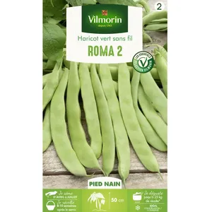 VILMORIN Haricot Roma 2 Sachet de graines pas cher