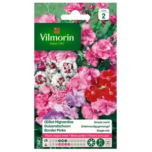 VILMORIN Oeillet Mignardise simple varié pas cher