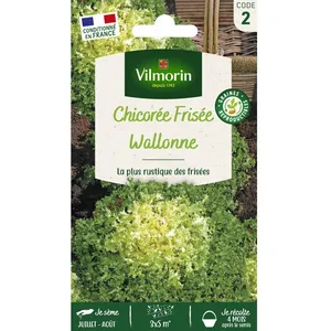VILMORIN Chicorée frisée Wallonne race Lorca pas cher