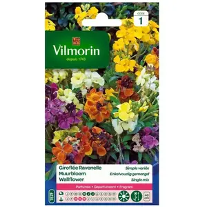 VILMORIN Giroflée Ravenelle simple variée pas cher