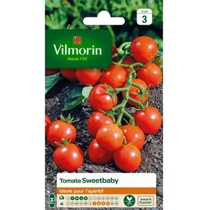 VILMORIN Tomate sweetbaby Sachet de graines pas cher