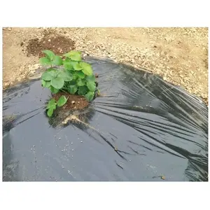 Comparateur de prix : Film de paillage pour fraisiers - VILMORIN - 1,40m x 10m - 50µm - Anti mauvaises herbes
