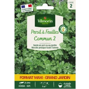 VILMORIN Persil Commun 2 - GM pas cher