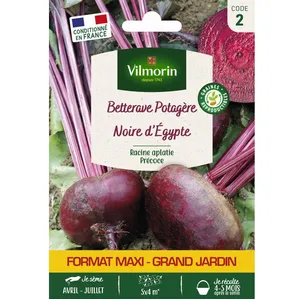 Vilmorin - Betterave Noire d'Egypte pas cher