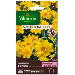 VILMORIN Coreopsis presto pas cher