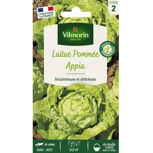VILMORIN Laitue Pommee Appia pas cher