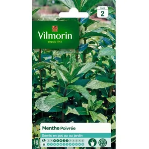 VILMORIN Menthe poivrée pas cher