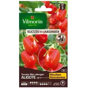 Graines de Tomate Aligote - VILMORIN - Type mini allongé - Rustique et vigoureuse