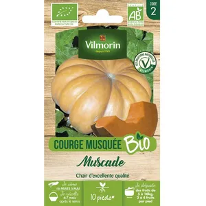 Vilmorin Courge Musque Provence bio pas cher
