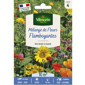 VILMORIN Sachet graines Mélange de Fleurs Flamboyant- pas cher