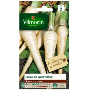 VILMORIN Panais de Guernesey