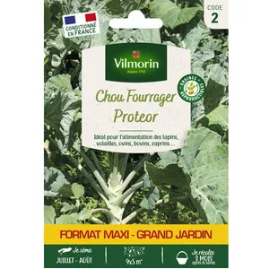 VILMORIN Chou Fourrager Protéor (Obtention I.N.R.A.) - GM pas cher